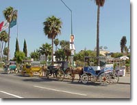 Atracciones en Ensenada