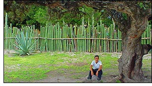 Ecotourismo en M&eacute;xico