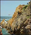 Acapulco Cliff Diver image