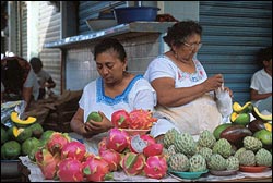 Atracciones en M&eacute;rida
