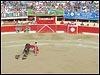 Tijuana Bull Fight