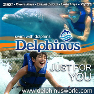 Swim with the Dolphins