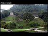 Palenque