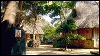 Zipolite Hotels